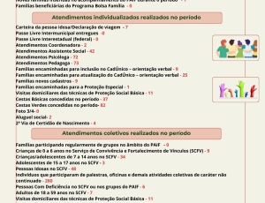 familias-em-acompanhamento-pelo-servico-de-protecao-e-atendimento-integral-a-familias-paif-2.jpg